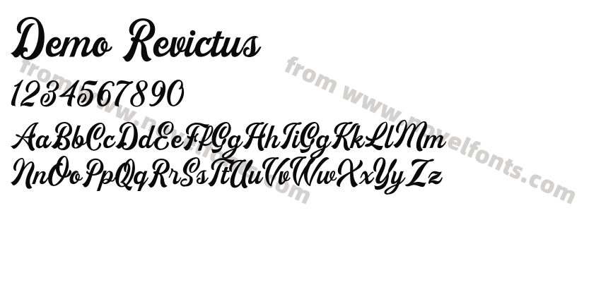 Demo RevictusPreview