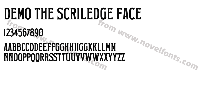 Demo The Scriledge FacePreview