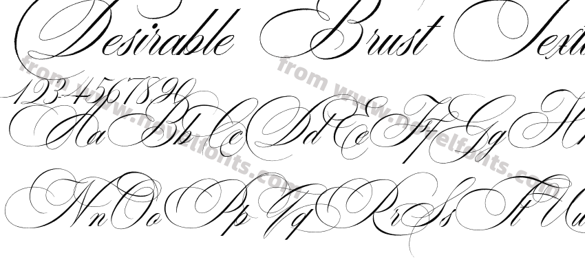 Desirable Brust TexturePreview