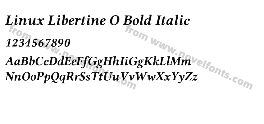 Linux Libertine O Bold ItalicPreview