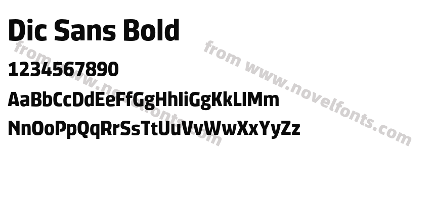 Dic Sans BoldPreview