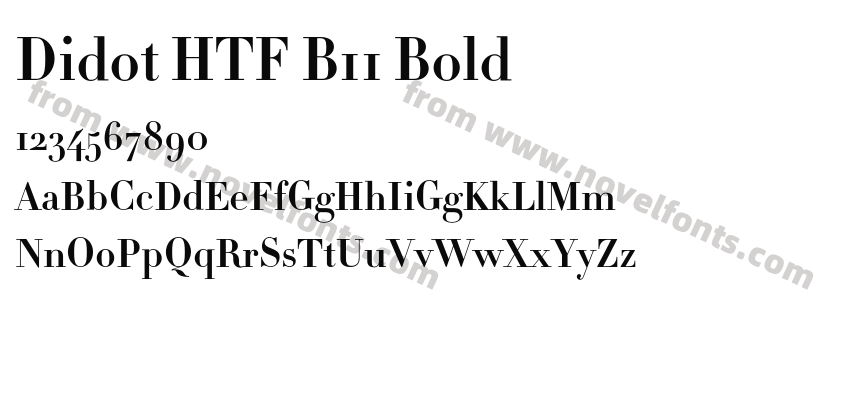 Didot HTF B11 BoldPreview