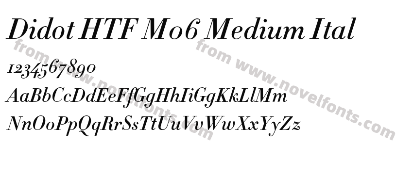 Didot HTF M06 Medium ItalPreview