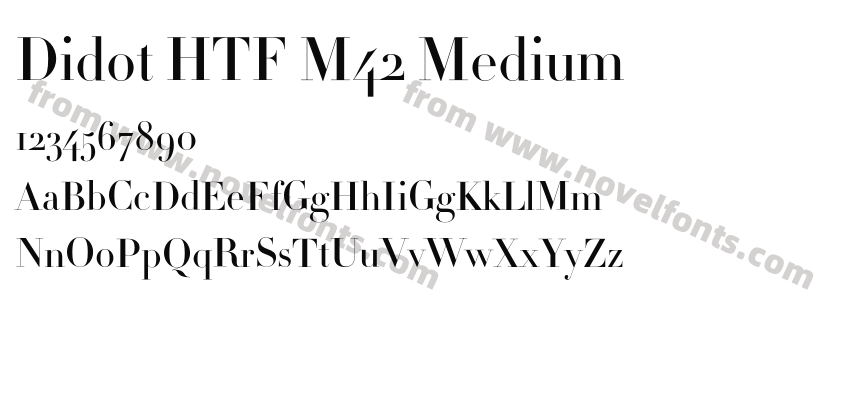Didot HTF M42 MediumPreview