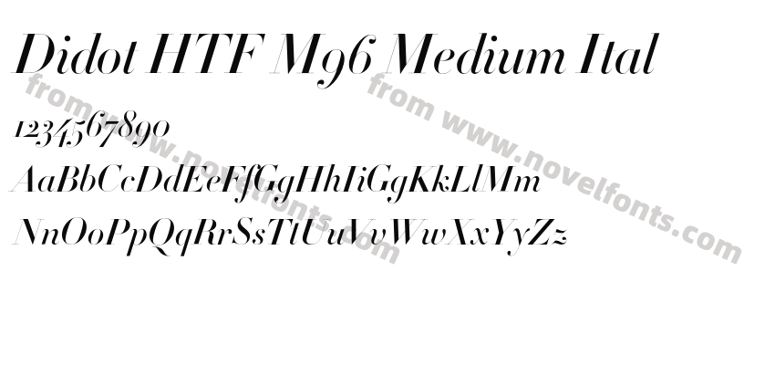 Didot HTF M96 Medium ItalPreview