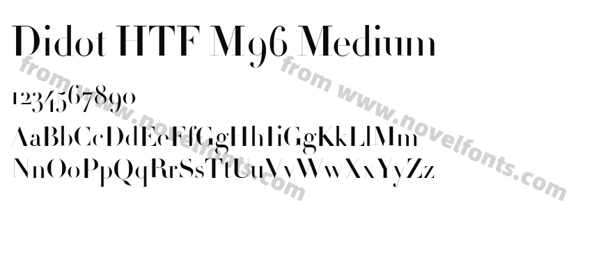 Didot HTF M96 MediumPreview