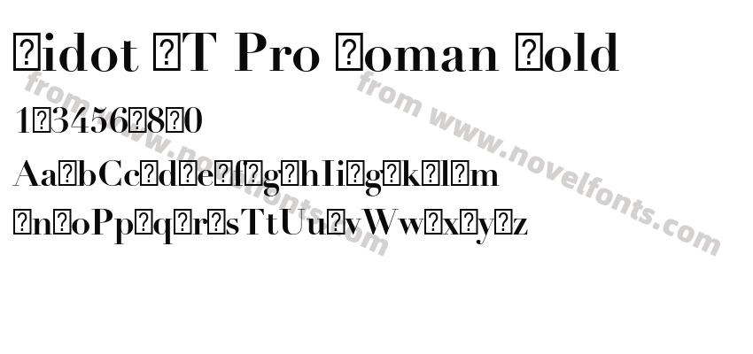 Didot LT Pro Roman BoldPreview