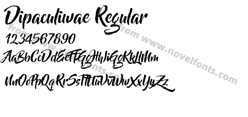 Dipaculiwae RegularPreview
