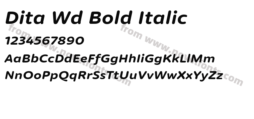 Dita Wd Bold ItalicPreview