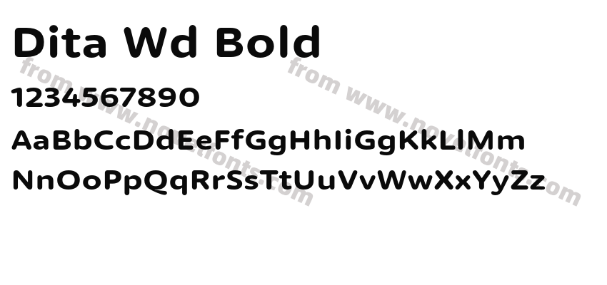 Dita Wd BoldPreview