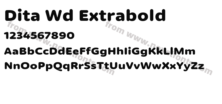 Dita Wd ExtraboldPreview
