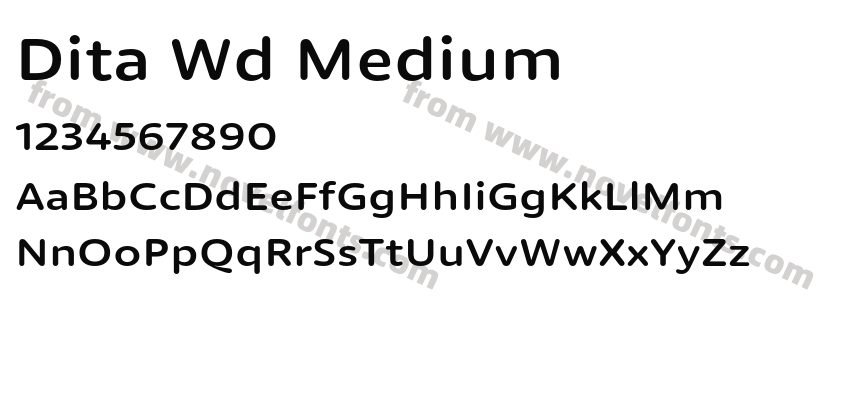 Dita Wd MediumPreview