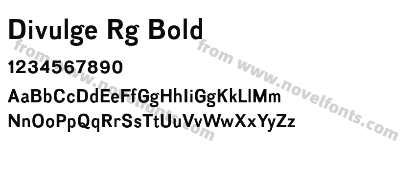 Divulge Rg BoldPreview
