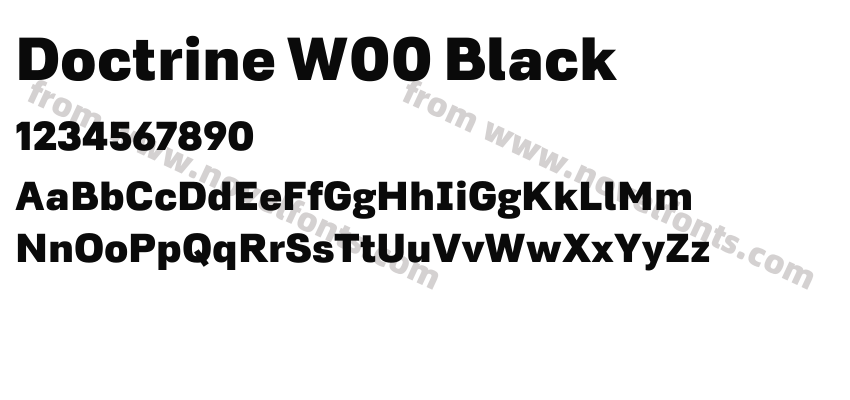 Doctrine W00 BlackPreview