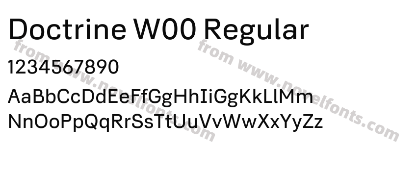 Doctrine W00 RegularPreview