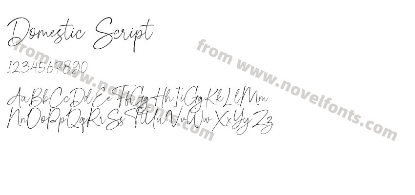 Domestic ScriptPreview