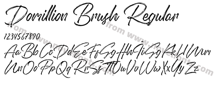 Domillion Brush RegularPreview
