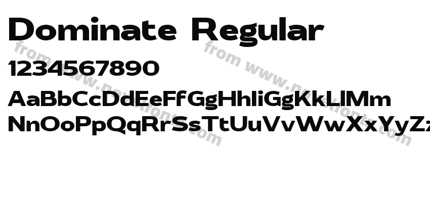 Dominate RegularPreview
