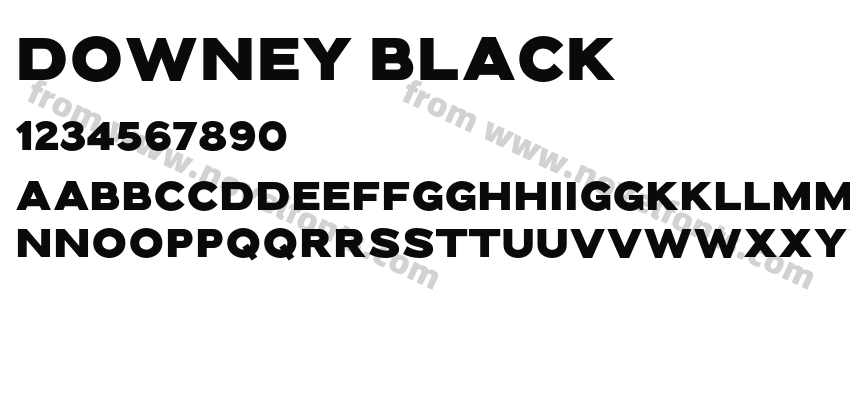 Downey BlackPreview