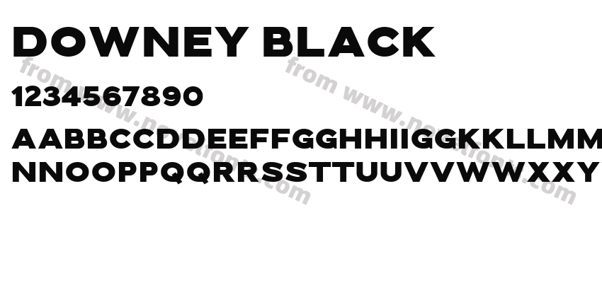 Downey BlackPreview