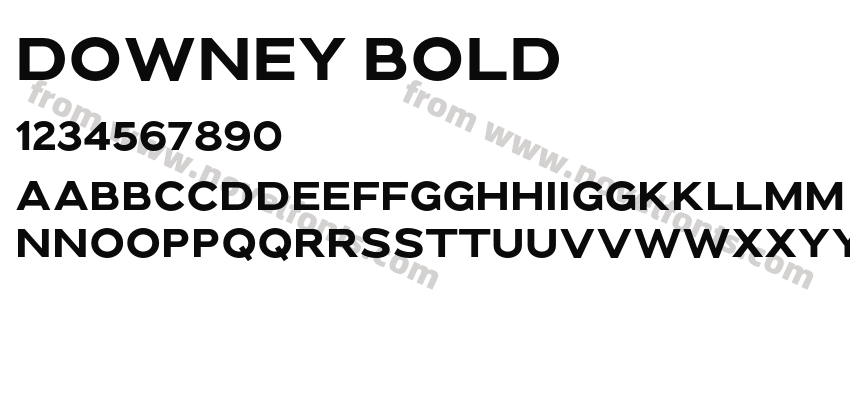 Downey BoldPreview