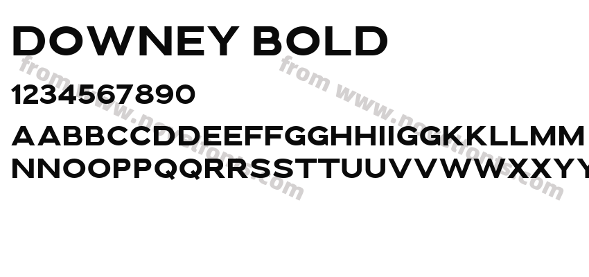 Downey BoldPreview
