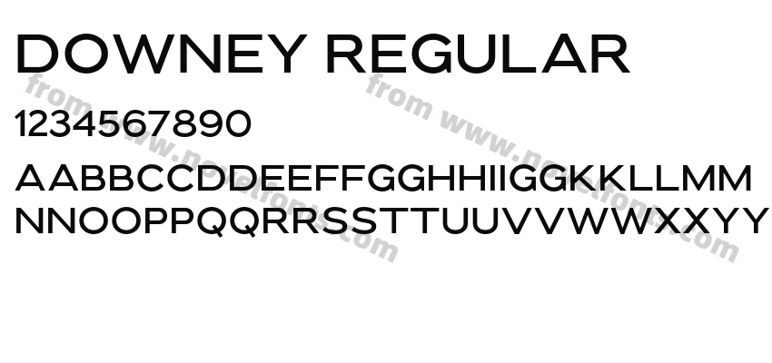 Downey RegularPreview