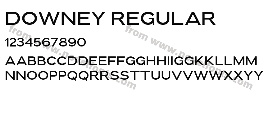 Downey RegularPreview