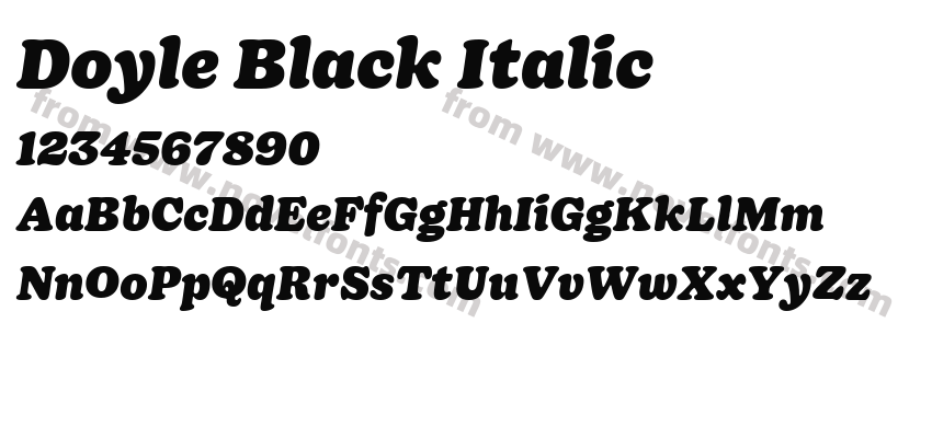 Doyle Black ItalicPreview