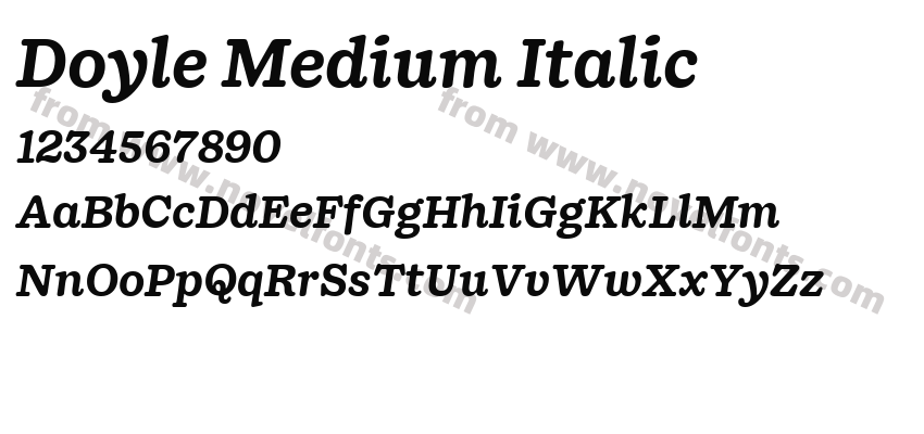 Doyle Medium ItalicPreview