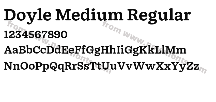 Doyle Medium RegularPreview