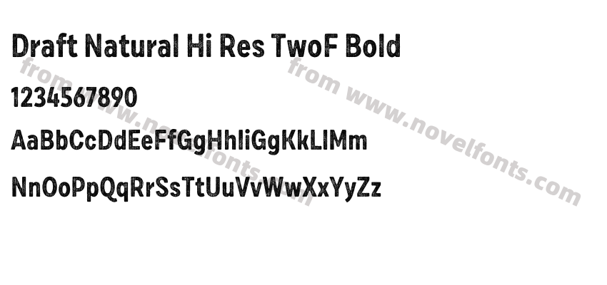 Draft Natural Hi Res TwoF BoldPreview