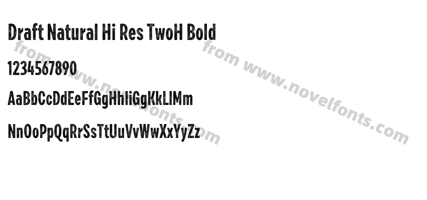 Draft Natural Hi Res TwoH BoldPreview