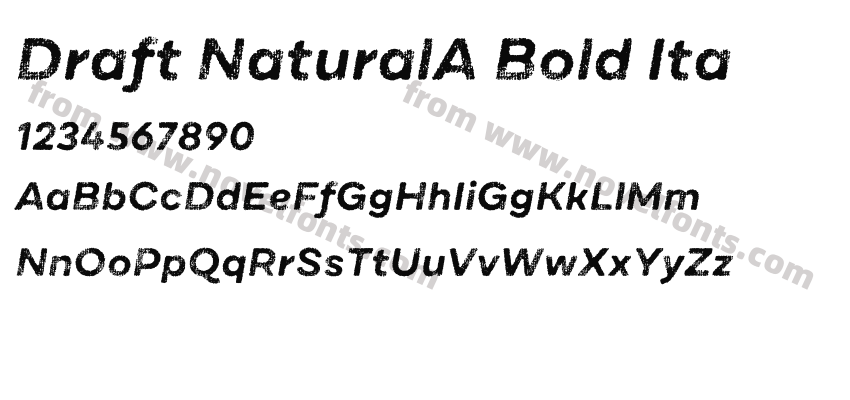 Draft NaturalA Bold ItaPreview