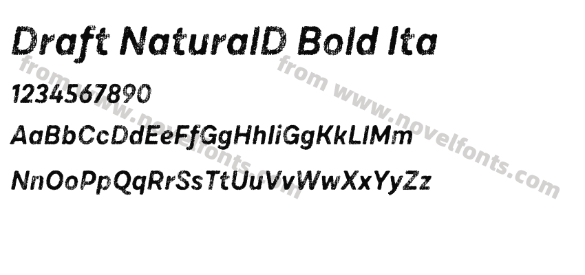 Draft NaturalD Bold ItaPreview