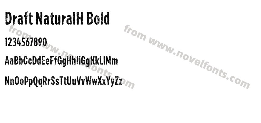 Draft NaturalH BoldPreview