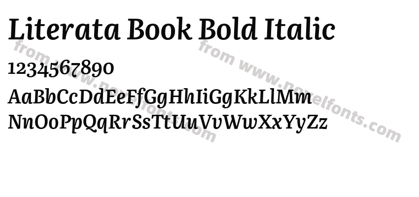 Literata Book Bold ItalicPreview