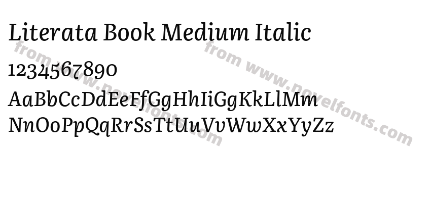 Literata Book Medium ItalicPreview