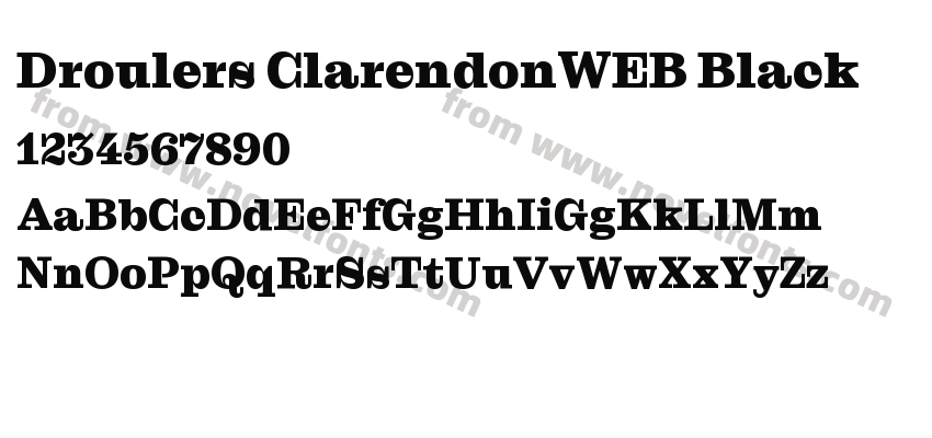 Droulers ClarendonWEB BlackPreview