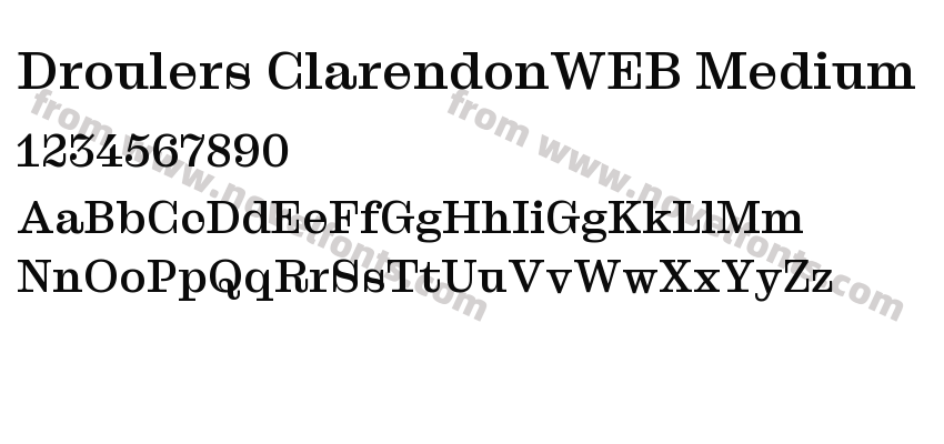 Droulers ClarendonWEB MediumPreview