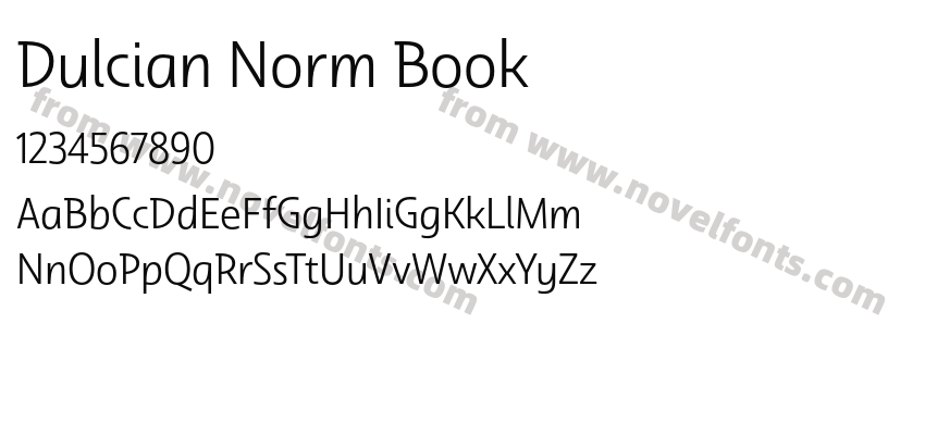 Dulcian Norm BookPreview