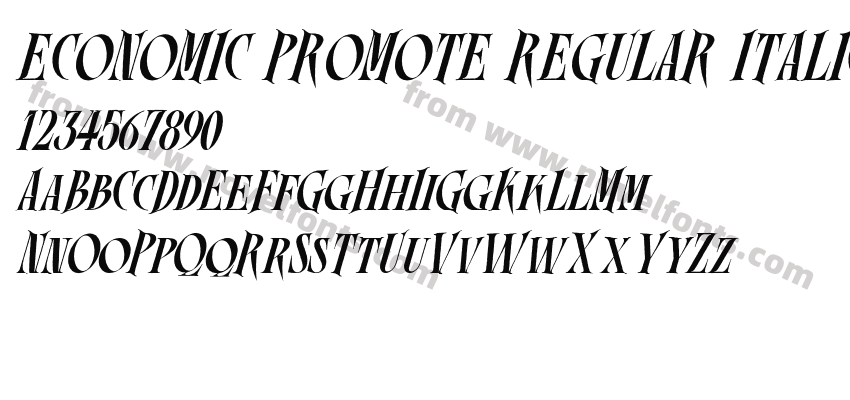 ECONOMIC PROMOTE REGULAR ITALICPreview
