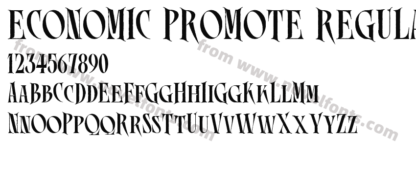 ECONOMIC PROMOTE REGULARPreview