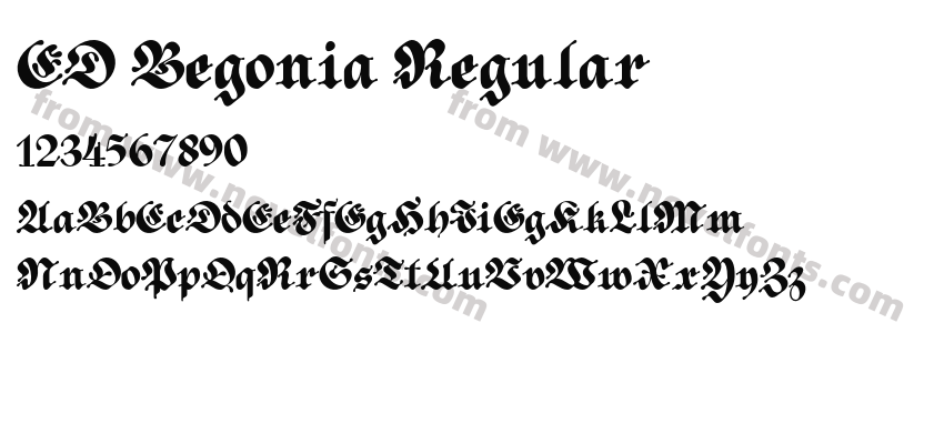 ED Begonia RegularPreview