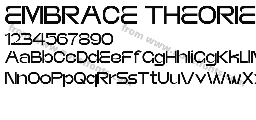 EMBRACE THEORIES REGULARPreview
