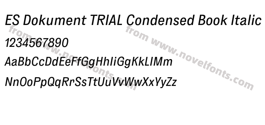 ES Dokument TRIAL Condensed Book ItalicPreview
