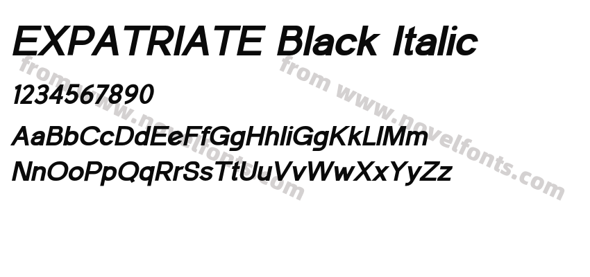 EXPATRIATE Black ItalicPreview