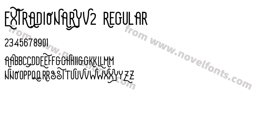 EXTRADIONARYV1 RegularPreview