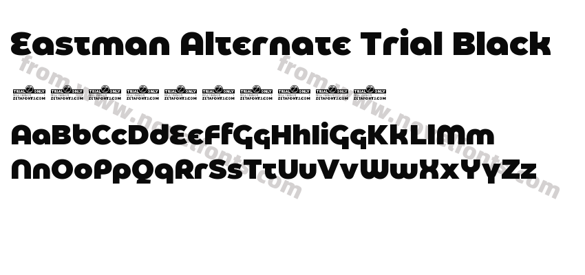 Eastman Alternate Trial BlackPreview