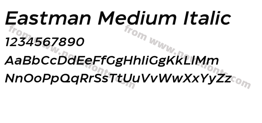 Eastman Medium ItalicPreview